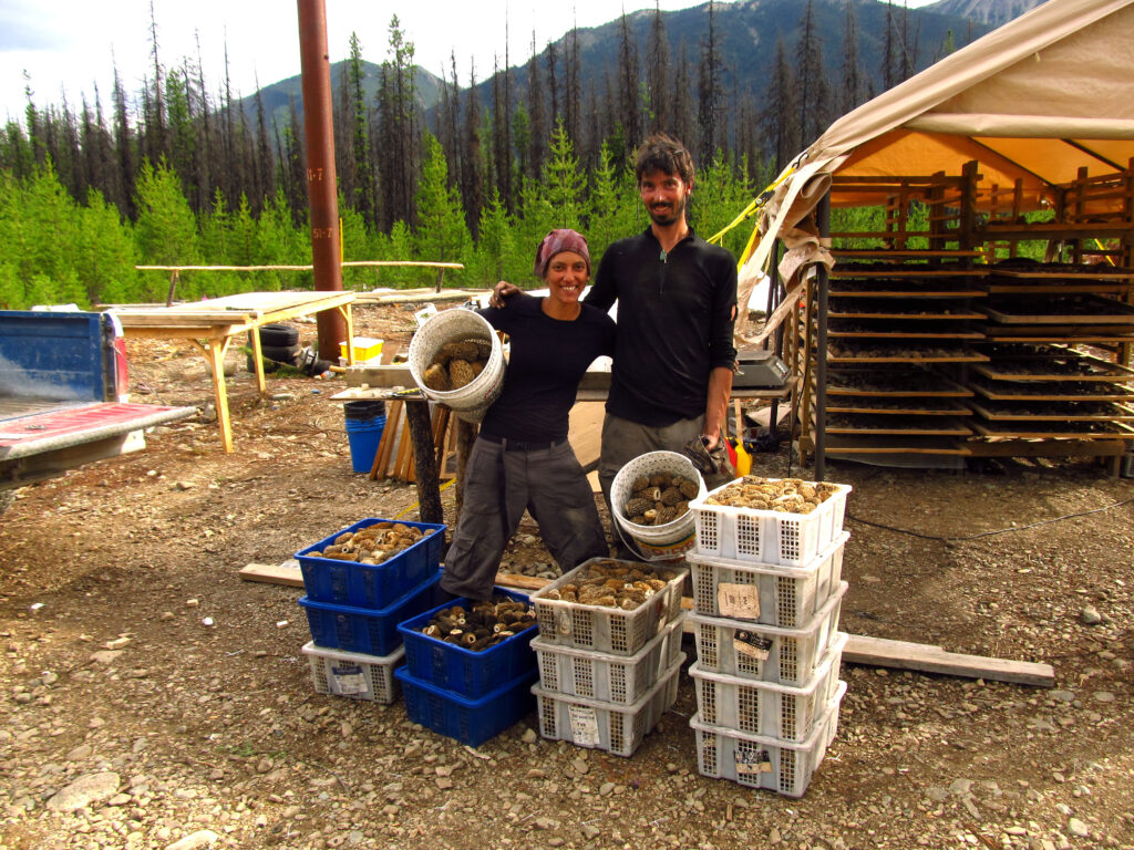 The Dock+ Food Hub tenants Ben and Celia, Forest for Dinner.
