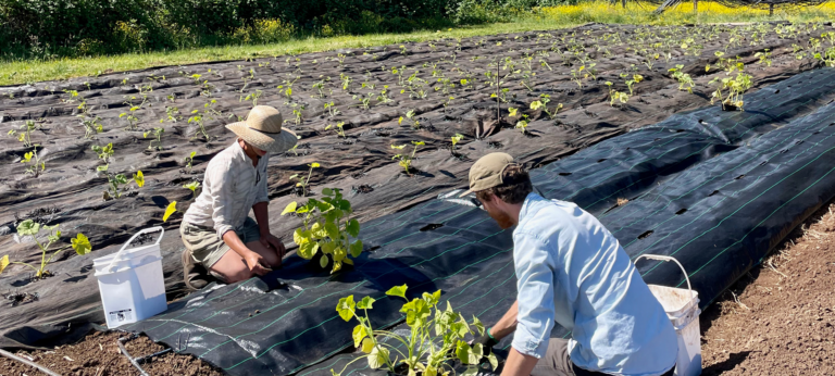 Farmers in the Comox Valley