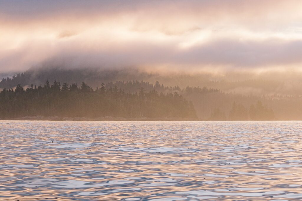 Kyoquot Sound has welcomed new business growth in tourism and aquaculture in recent years.